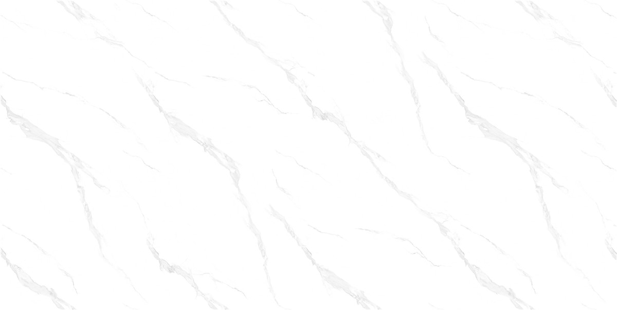 FY5612001