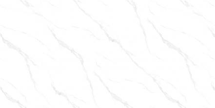 FY5612001