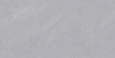 FR557G03 