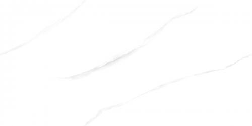 FT5516L