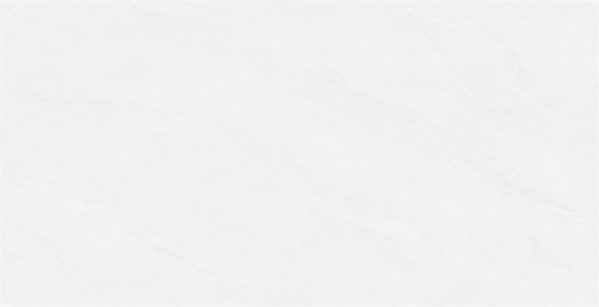 F84W503
