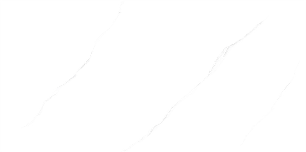 F84W501_04