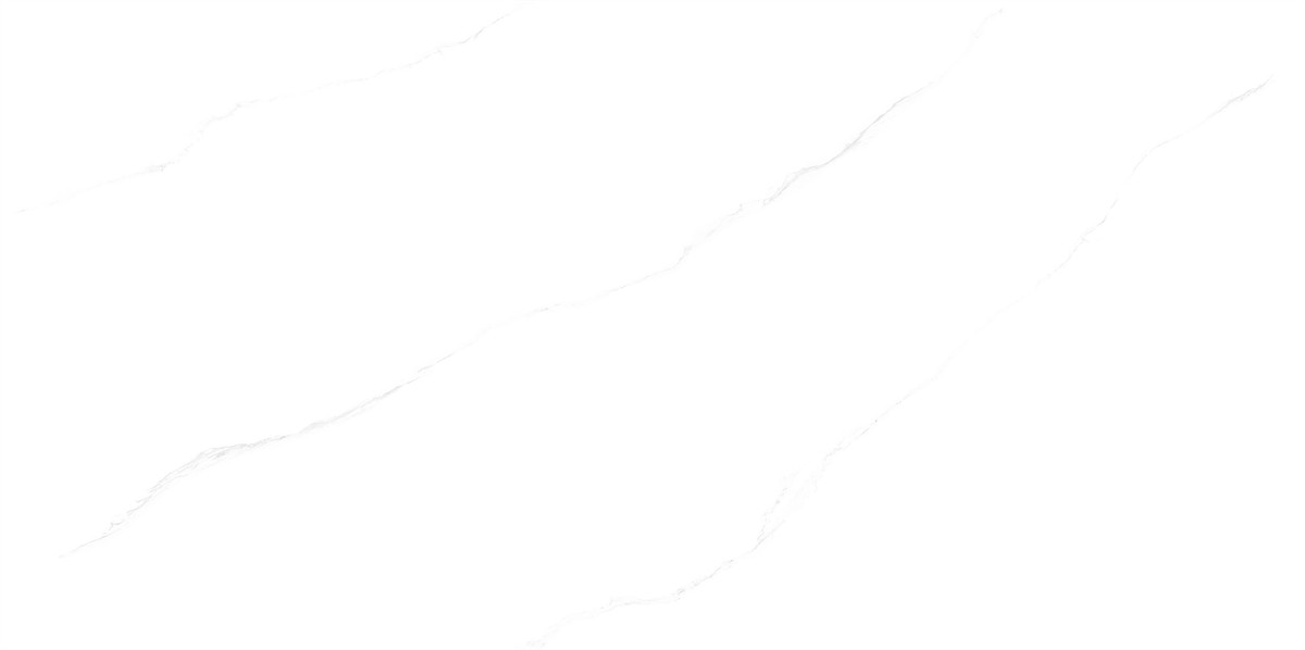 F84W501_03
