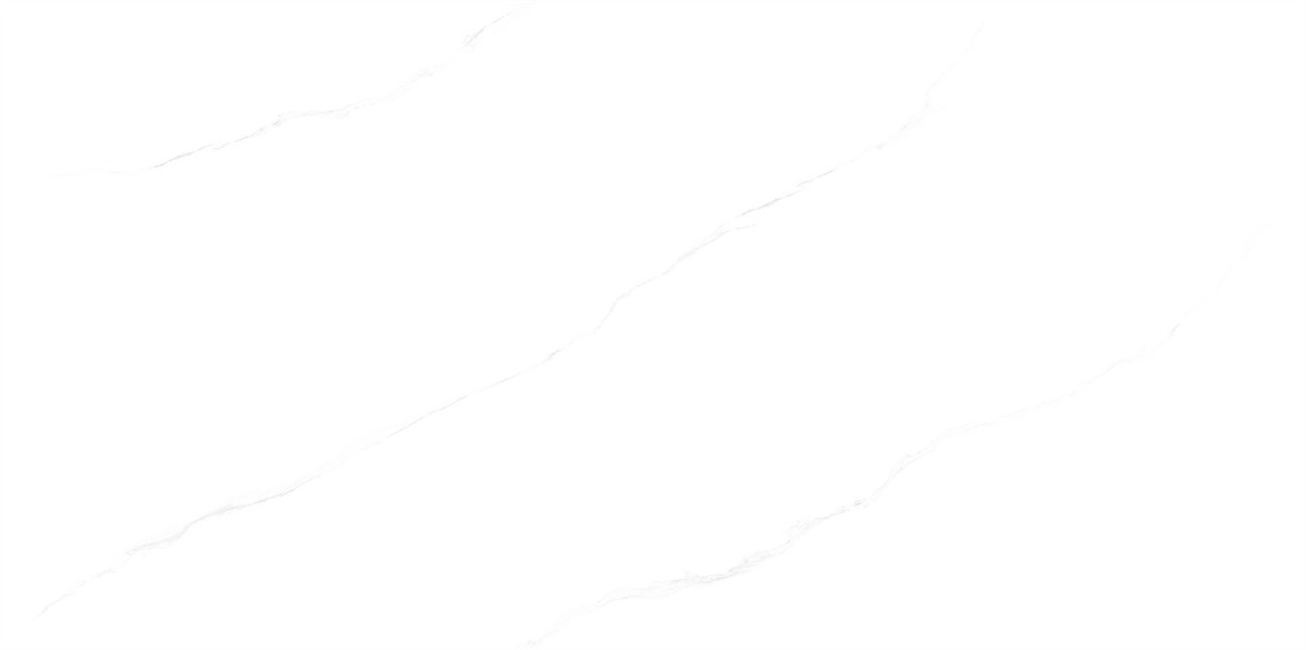 F84W501_02