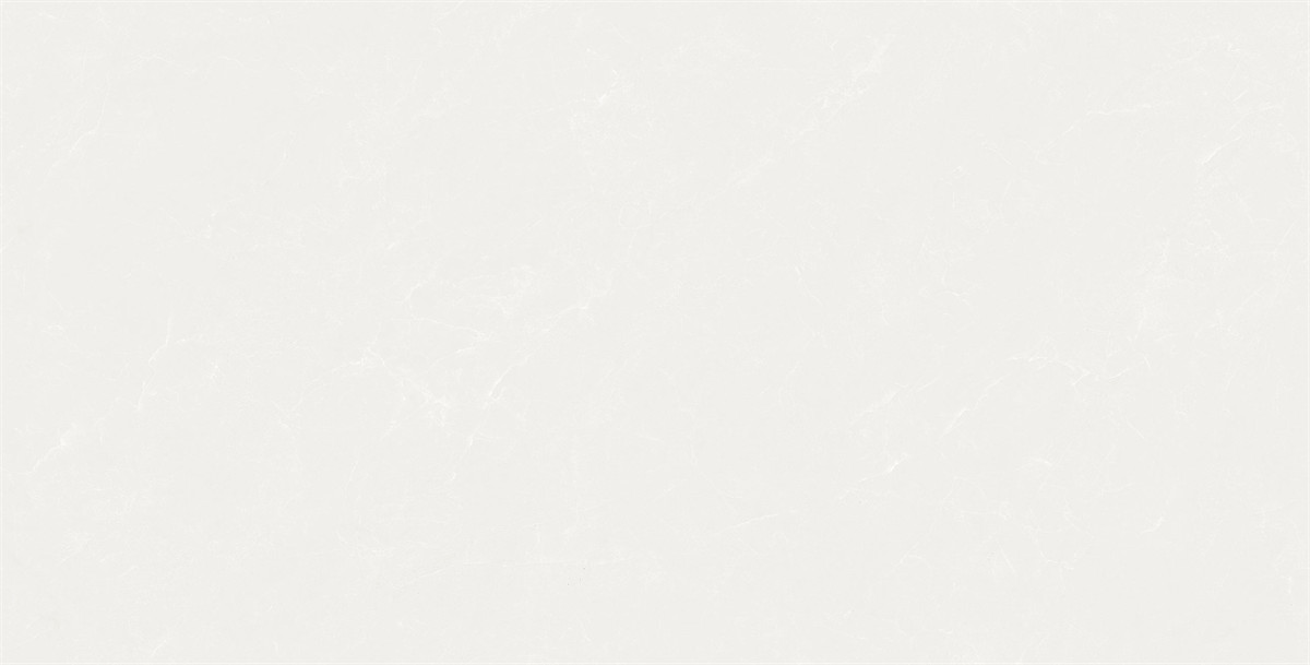 F84W502(2)