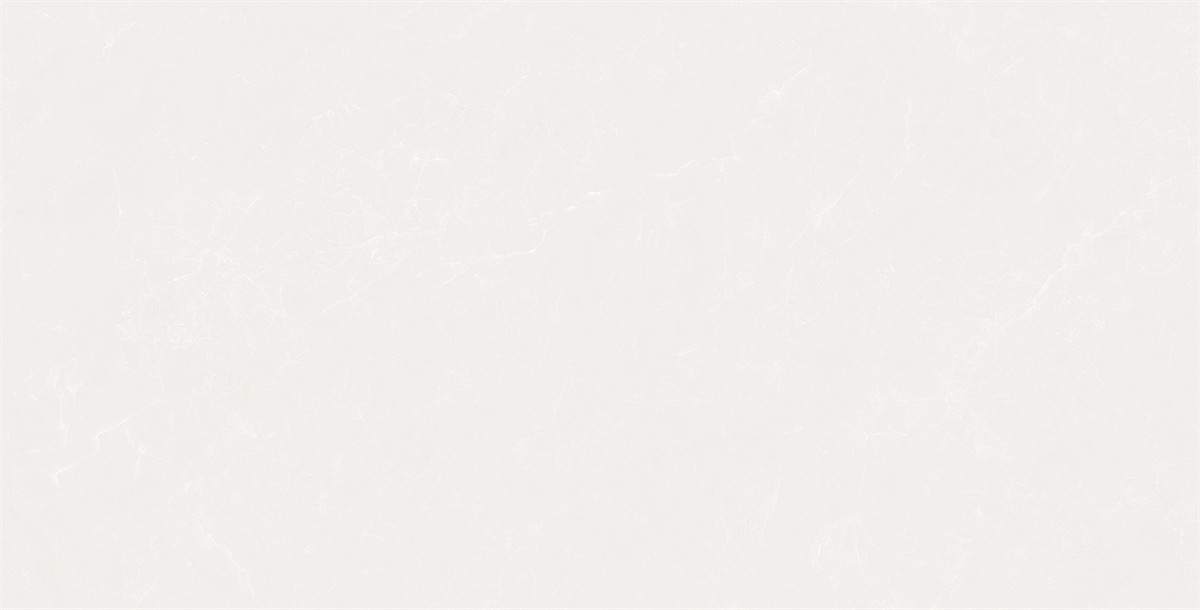 F84W502(4)