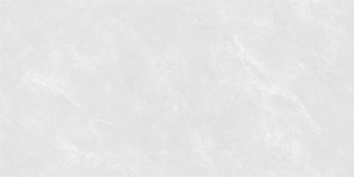 F84W505_04